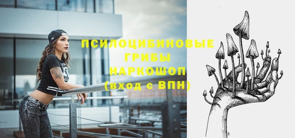 гашик Арсеньев