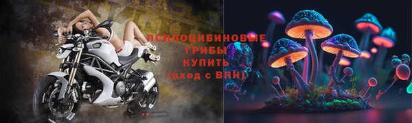 гашик Арсеньев