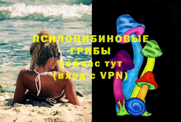 тгк Армянск