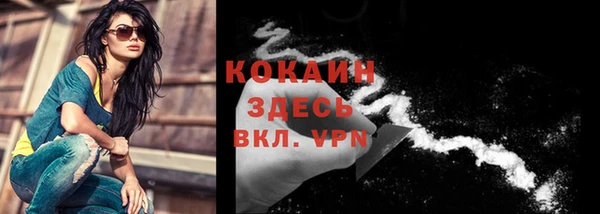 гашик Арсеньев