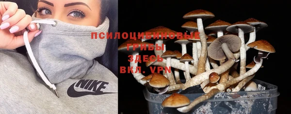 тгк Армянск