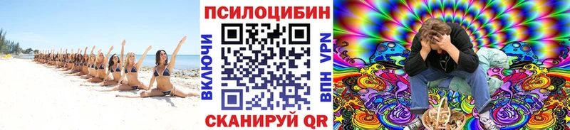закладки  Чапаевск  Галлюциногенные грибы Magic Shrooms 